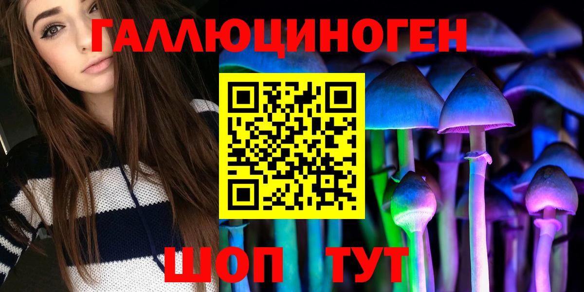 Галлюциногенные грибы Psilocybine cubensis Нерюнгри